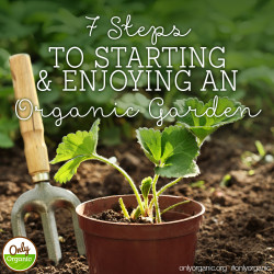 7 Steps to Starting and Enjoying an Organic Garden | Only Organic